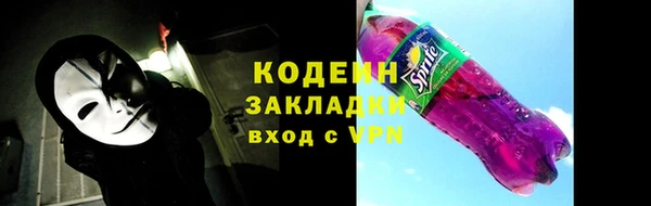 крисы Верхний Тагил