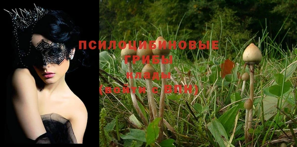 крисы Верхний Тагил