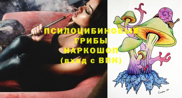 дмт Верея